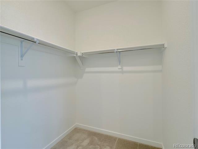 Building Photo - 1508 Sanitas Ln