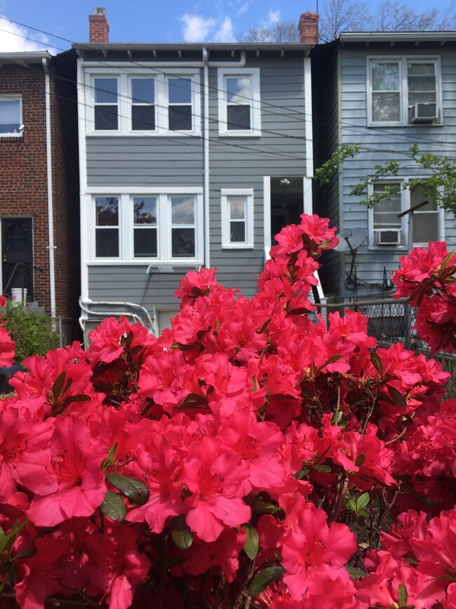 Primary Photo - 524 Decatur St NW