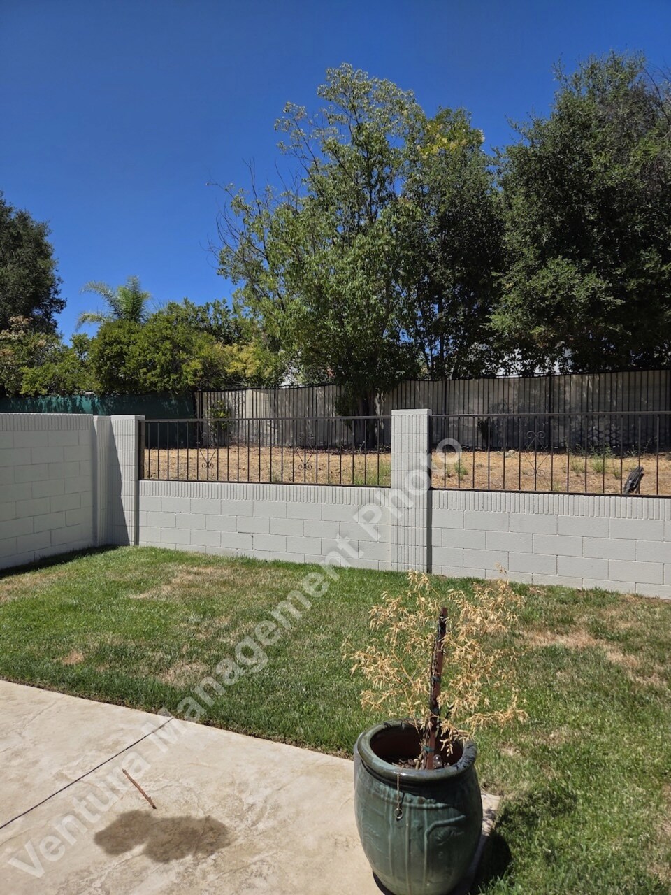 Building Photo - 5665 Meadow Vista Way