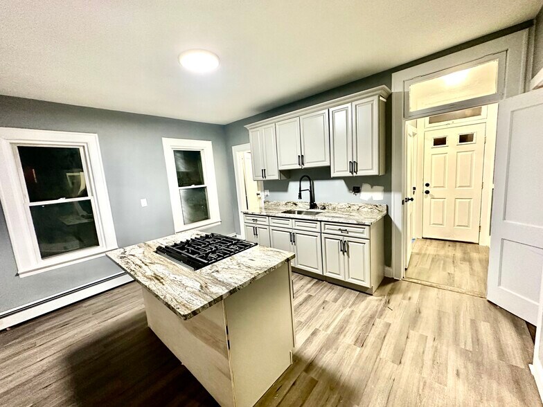 Renovated Kitchen - 258 Burritt St