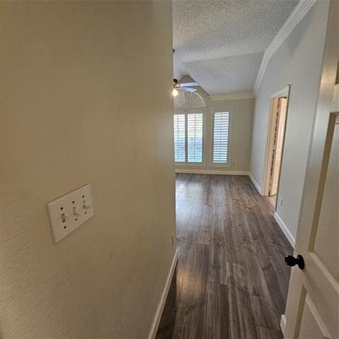 Building Photo - 2817 Oleander Dr