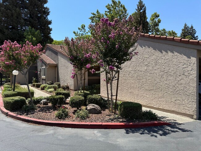 Primary Photo - 2-bedroom condo near shopping, restaurants...
