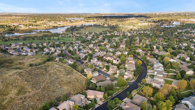 Looking North East - yellow tree is 417 - 417 Promontory Dr