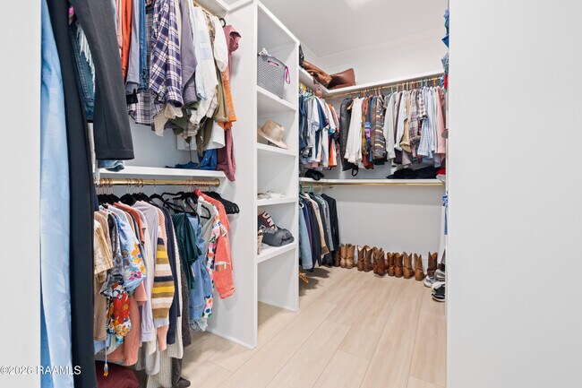 Building Photo - 1013 Camellia Blvd