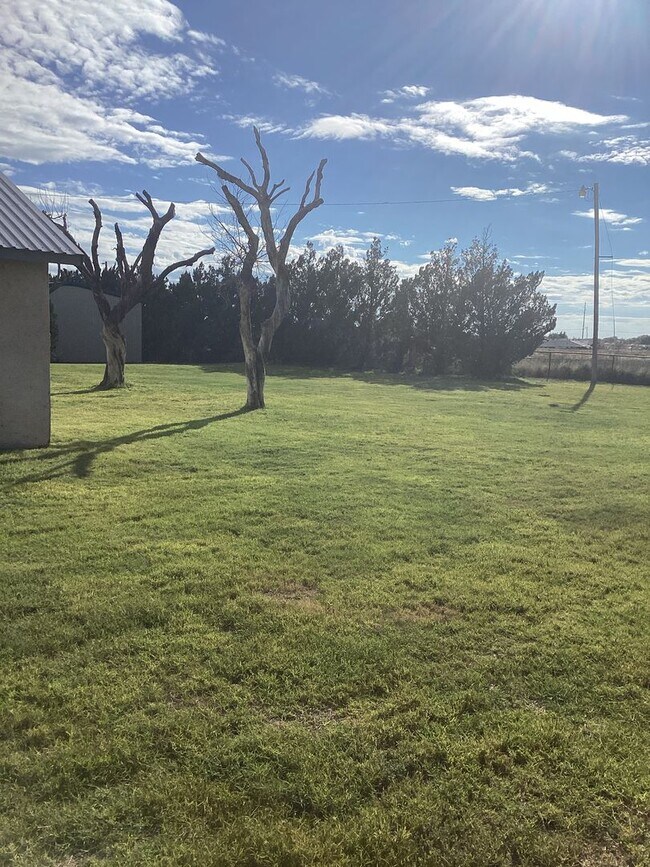 Building Photo - Country living close to town in Portales!