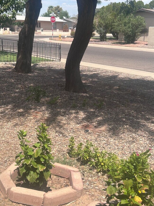 Building Photo - 4244 N 85th Ave