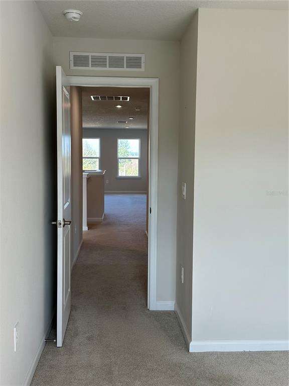 Building Photo - 3785 Blue Mountain Wy