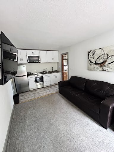 Condo 2 Full Kitchen/Living Room - 9305 Chipita Park Rd