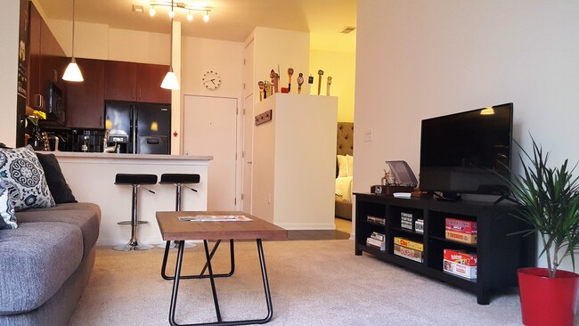 Open-concept floor plan - the bedroom is separated from the kitchen and living area by a partial wall lined with tap handles. - 2125 Southend Drive