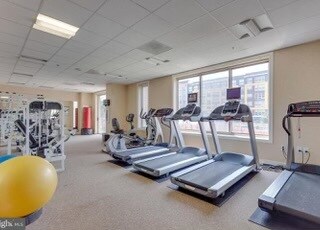 Building Photo - 2726 Gallows Rd