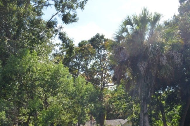 Building Photo - 1274 36th St