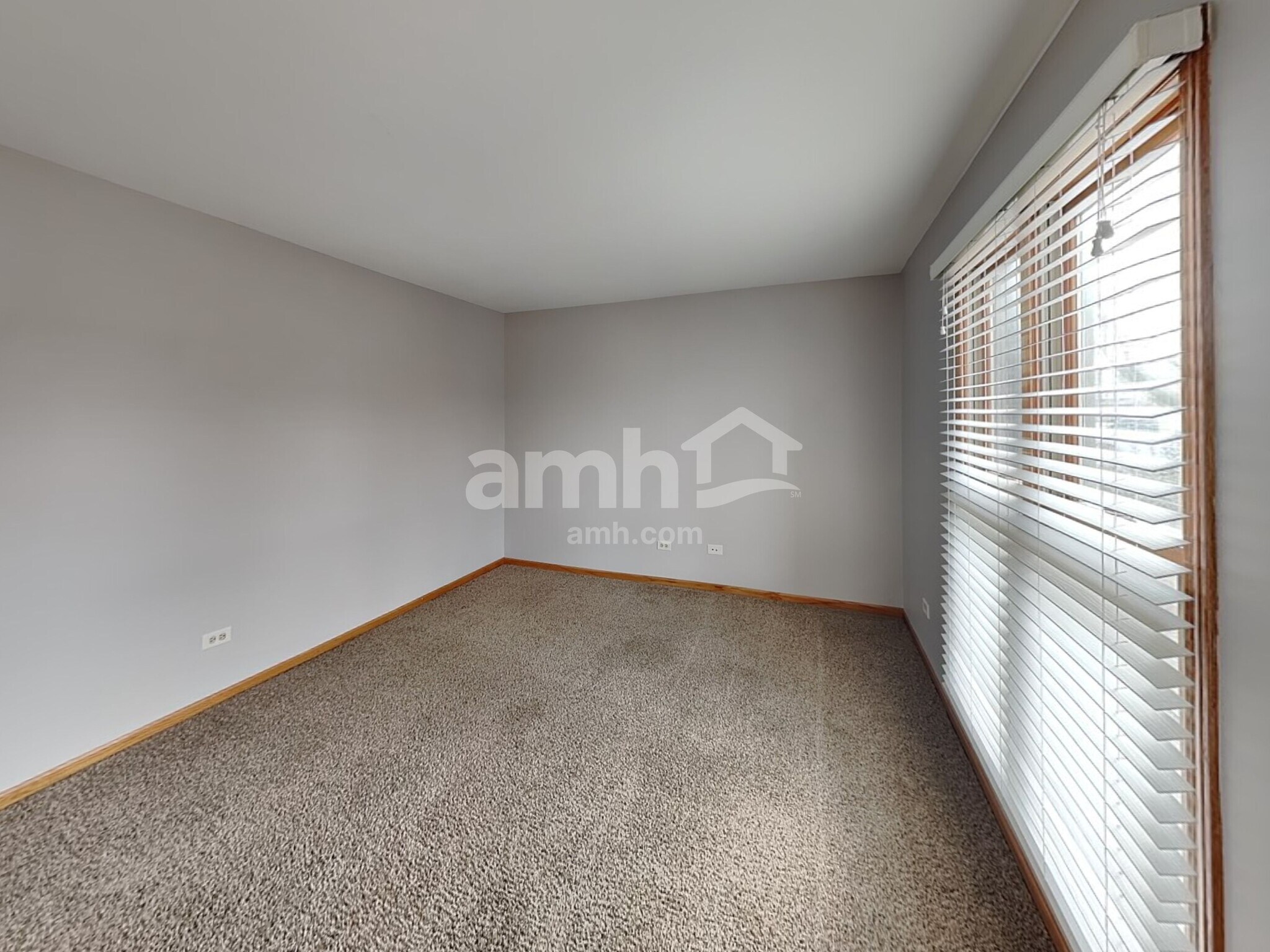 Building Photo - 1113 Geneva St