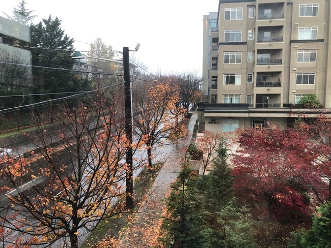 Building Photo - Updated Condo with Parking for One, Great Location and Communal Roof-top Deck!!