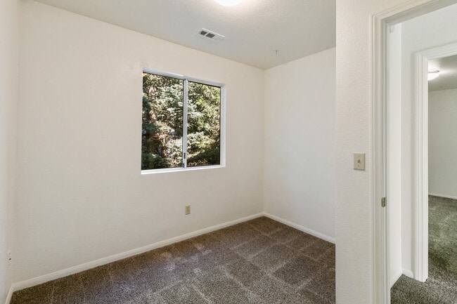 Building Photo - 1005 Chillon Dr