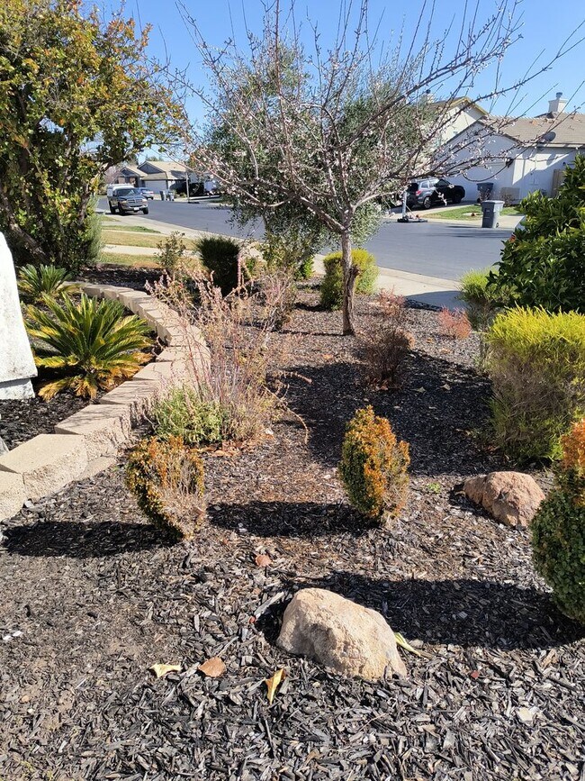 Building Photo - 4 Bedroom 3 Bathroom In Rocklin!