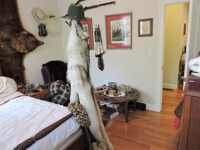 Building Photo - 7 Marney St