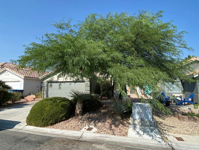 Primary Photo - Single Story Home. Grass Backyard. Landsca...