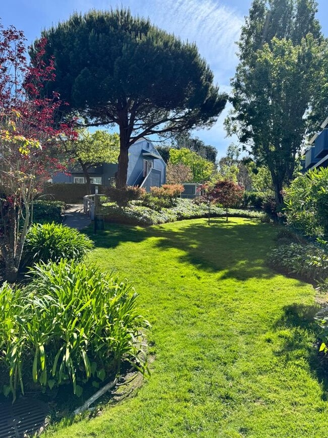 Building Photo - 1126 Cherry Ave