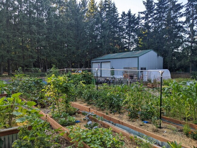 Building Photo - Country Comfort Meets Modern Living-Spacious 3BR Home with Shop and Hot Tub