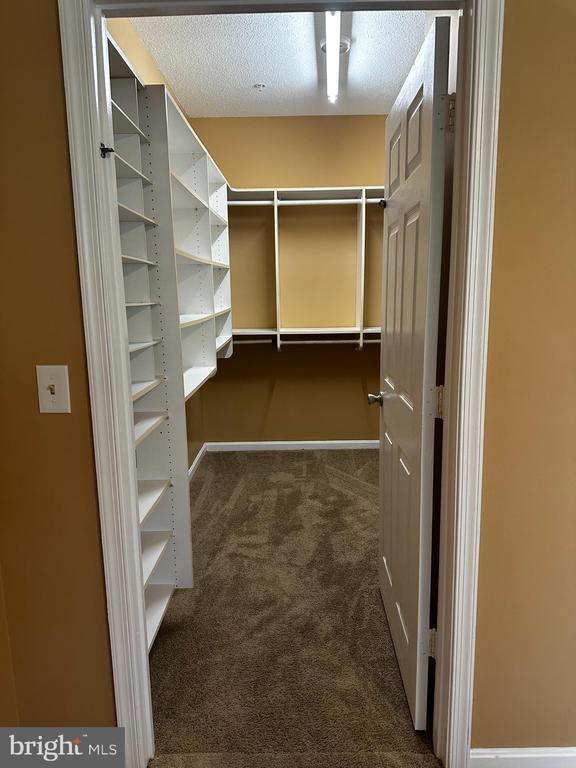 Building Photo - 7417 Hindon Cir