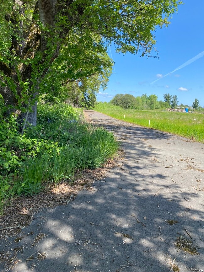 Building Photo - 1242 S 11th St