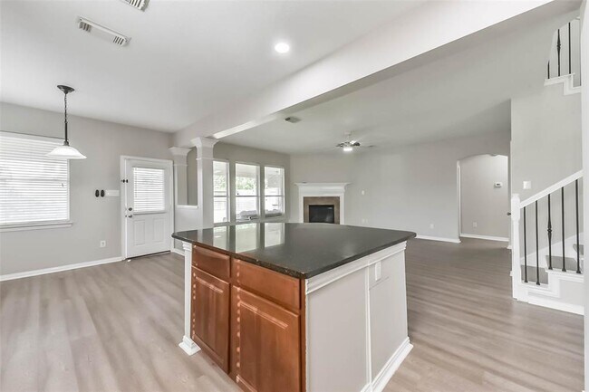 Building Photo - 2812 Chinaberry Park Ln