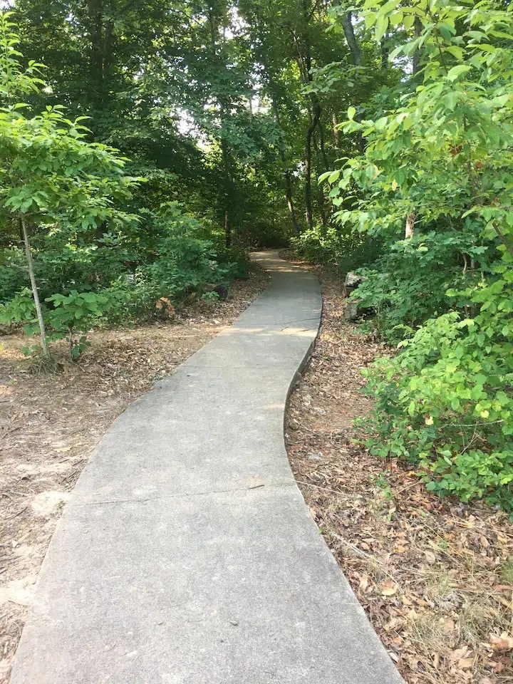Path to Lake Hartwell - 1311 Harts Ridge Dr