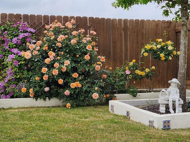 Building Photo - 4500 Brandon Ct