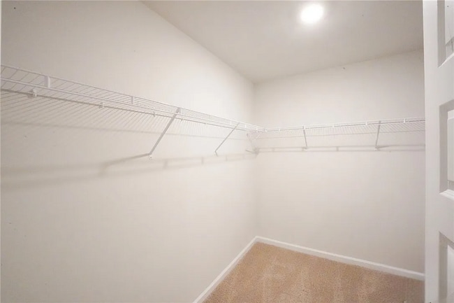 Building Photo - 434 Coconut Dr