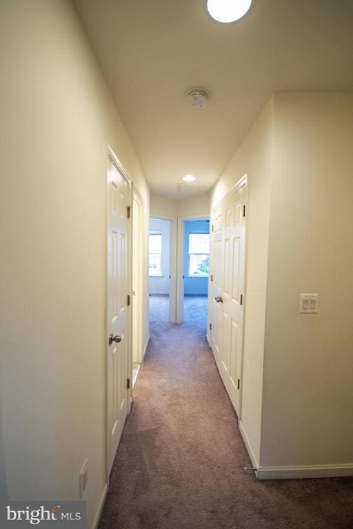 Building Photo - 8024 Cayzer Ln