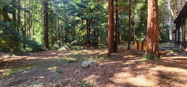 Building Photo - Cabin In the Wood!