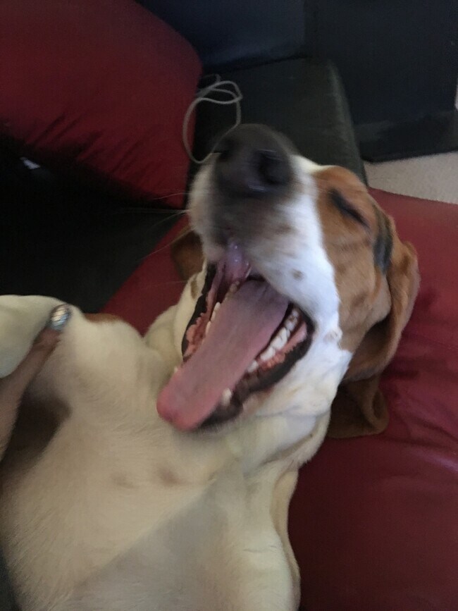 Building Photo - 1 Lake Ave