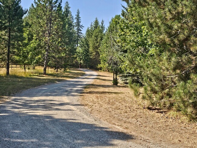 Building Photo - Incredible Hauser Lake Waterfront Home for...