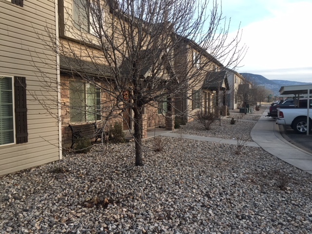 Building Photo - Stunning Cedar Townhome