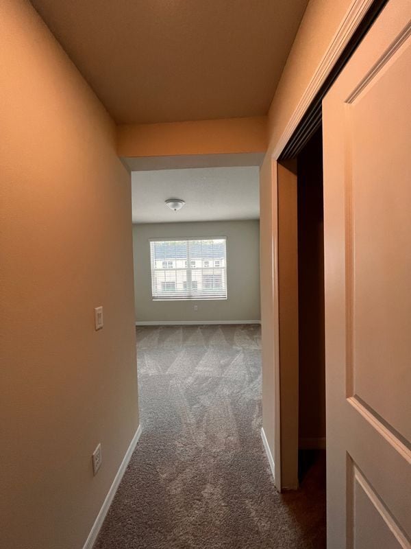 Building Photo - 4508 Sparkling Shell Ave