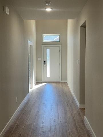 Building Photo - 1409 Corkwood Dr