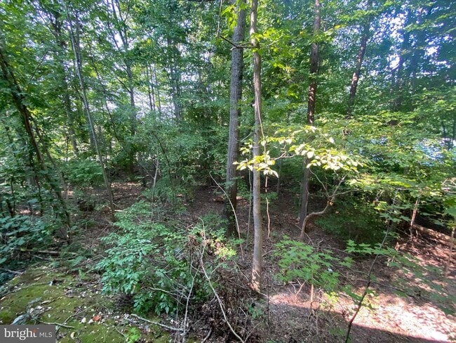 Building Photo - 4115 Corbin Hall Ln