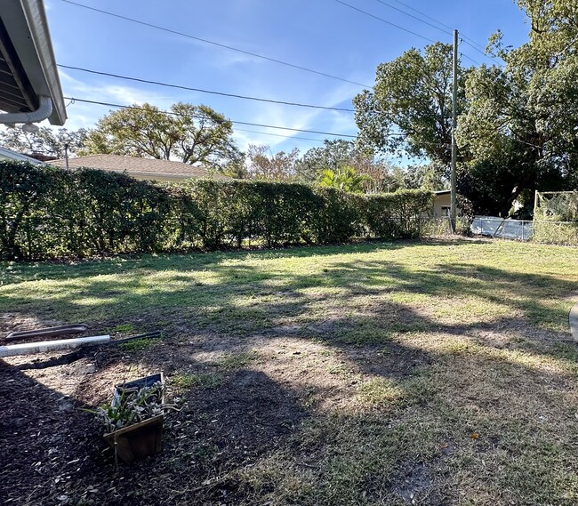 Fenced backyard - 1830 Bimini Dr