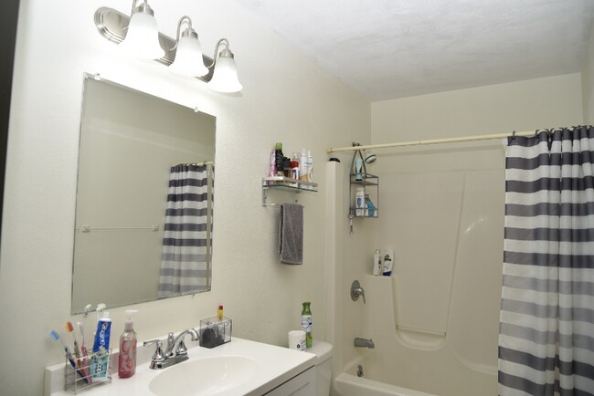 Building Photo - 3360 Patti Dr