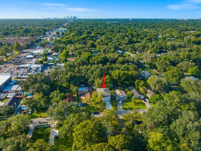 Building Photo - Charming Tampa Rental - Perfectly Located ...