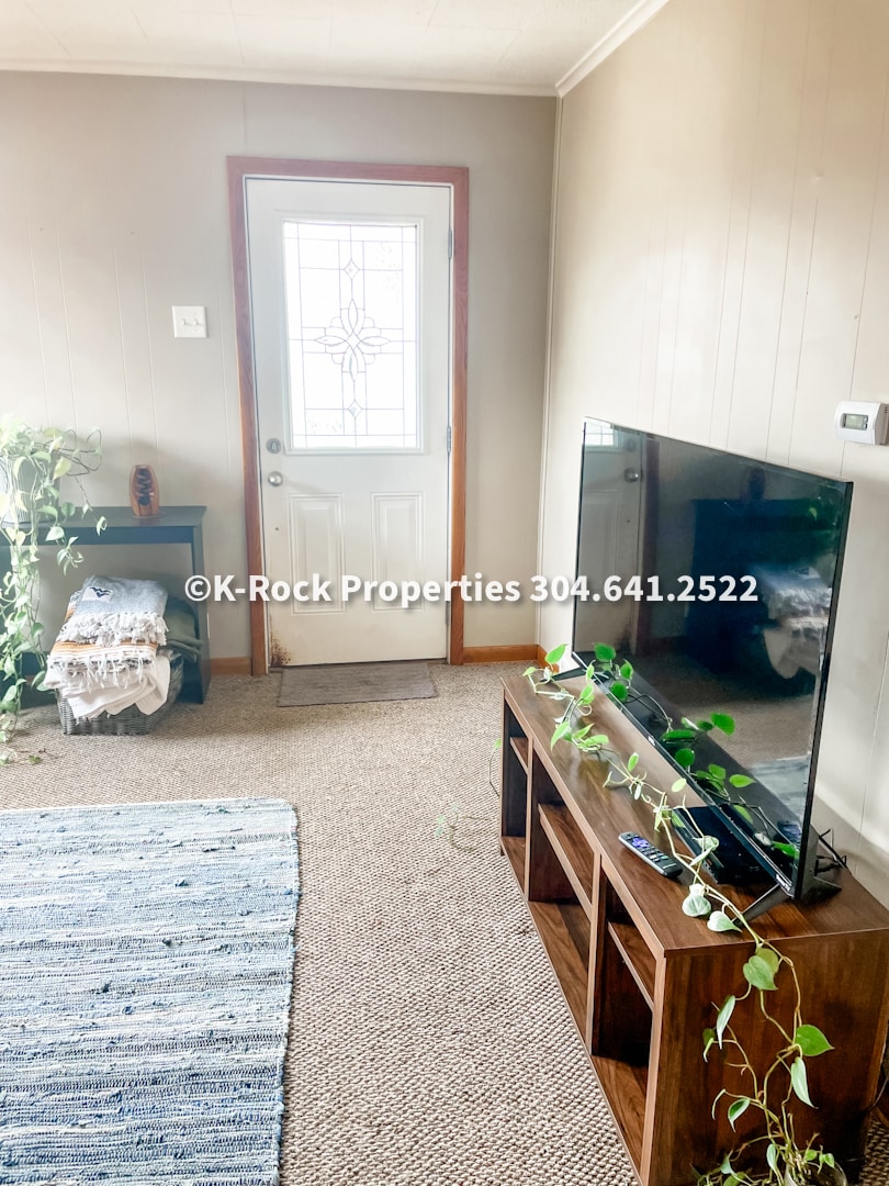 entryway - 318 Johnson Ave