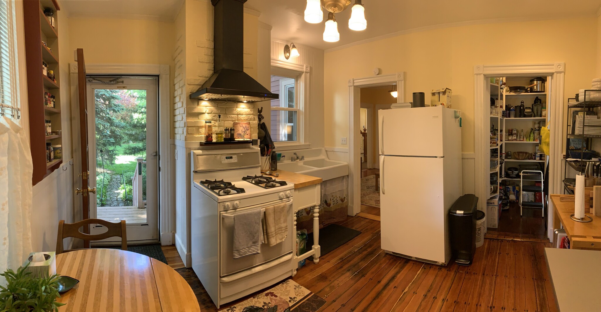 Kitchen - Pic 2 - 16 Dresden St