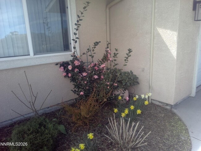 Building Photo - 1520 Cherokee Trail