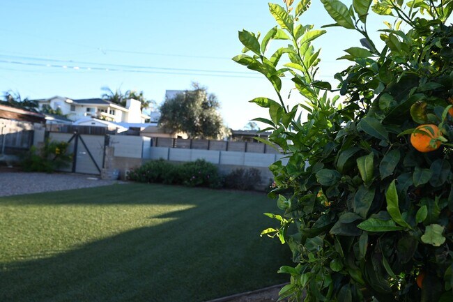 Building Photo - Beautiful Home with Gorgeous Views