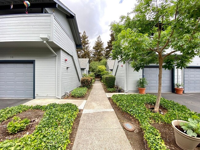 Building Photo - Beautifully Renovated One Bedroom Napa Condo