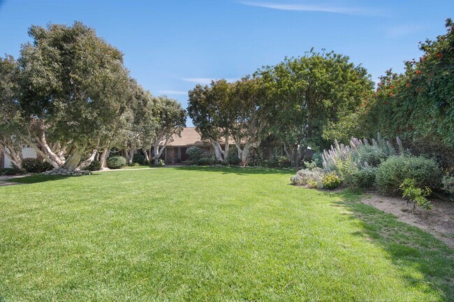 Building Photo - 29008 Cliffside Dr