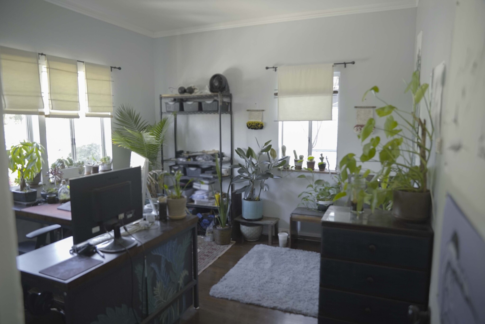 Bedroom 1 - 27 E Montana St
