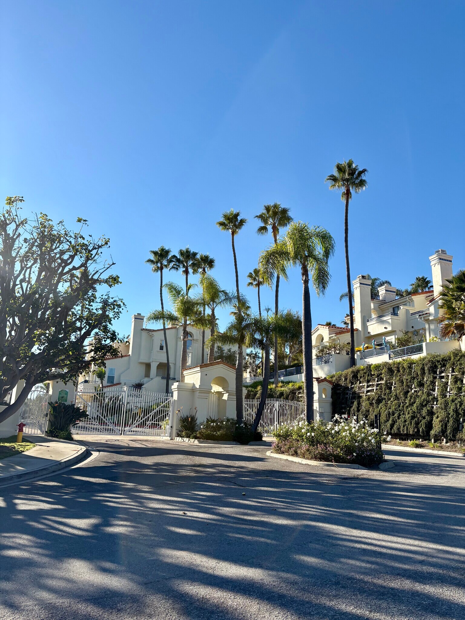 Main gate - 6483 Zuma View Pl