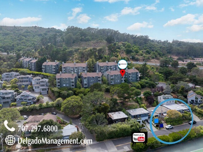 Building Photo - Sausalito living in this 2bd/2ba hillside ...