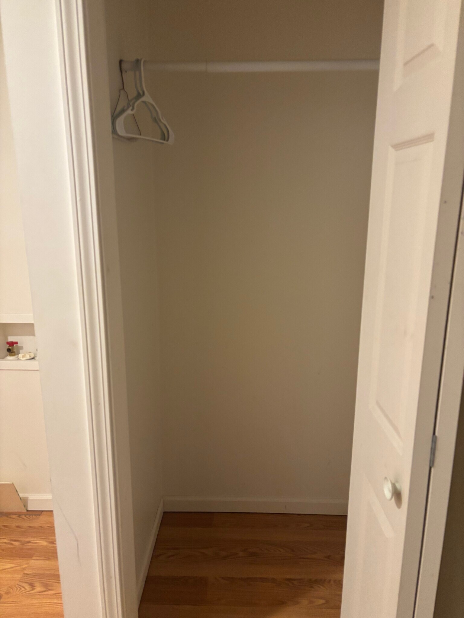 Hallway Closet - 211 E Franklin Street